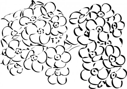 flores del esquema clip art
