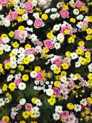 Blumen-Textur-Blumen-Teppich
