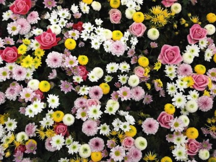 alfombra de flores de textura de flores