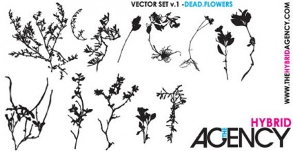 Blumen-Vektor