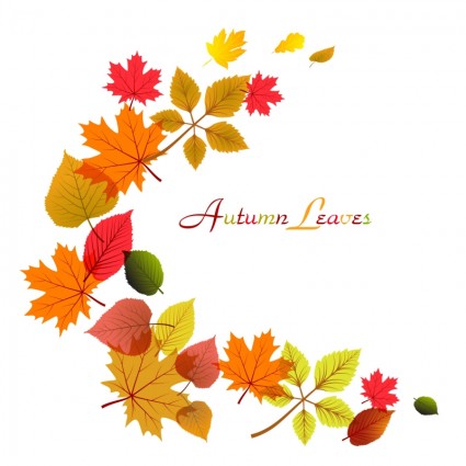 marco las hojas de otoño que fluye