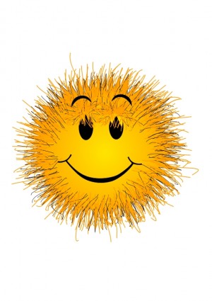 flauschige smiley