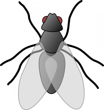 voar bug inseto clip-art