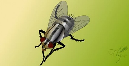voar vetor de bug