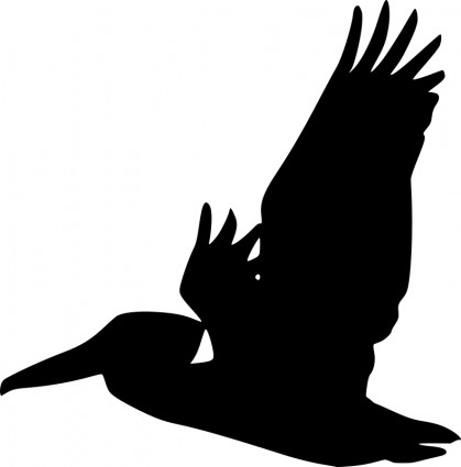 silhouette de Pélican volant