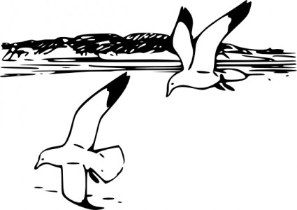 飛行的海鷗剪貼畫