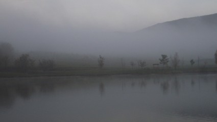Nebel-Landschaft-Natur