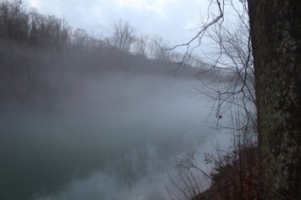 brouillard sur une rivière
