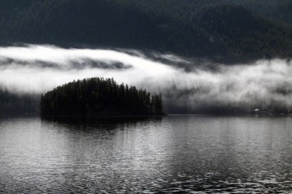 Lago di mattina nebbiosa