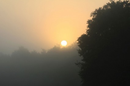 霧日の出