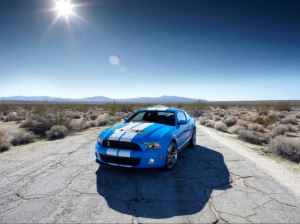 Ford Shelby gt500 Tapete Ford Fahrzeuge
