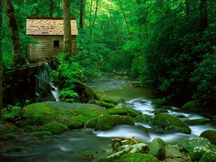 hutan watermill wallpaper Sungai alam