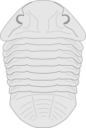 fossile de l'image clipart asaphus espèces