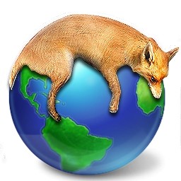 Fox Lie On Earth