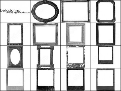 khung và bàn chải polaroid