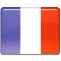 フランスの国旗 アイコン 無料のアイコン 無料でダウンロード