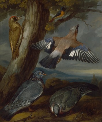 Francis barlow pintura óleo sobre lienzo