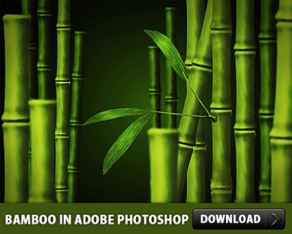 bambú gratis psd en adobe photoshop