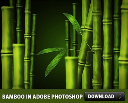 在 adobe photoshop 中作自由竹 psd