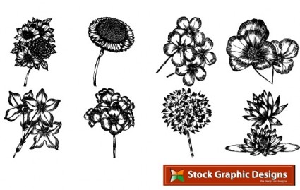 pacote de vetor livre de belas flores em desenhos de flores de pacote em formato eps