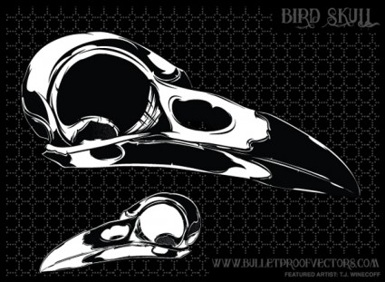 無料鳥の頭蓋骨