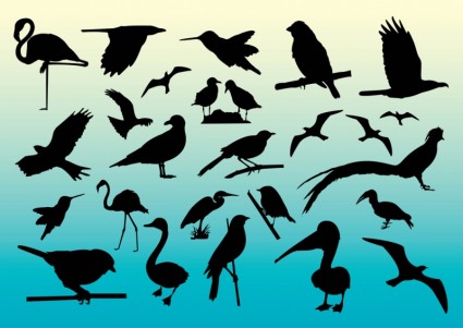 นกฟรีเวกเตอร์ silhouettes
