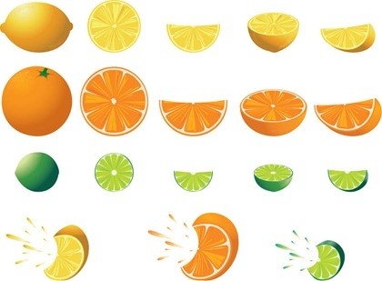 免費的柑橘類水果向量