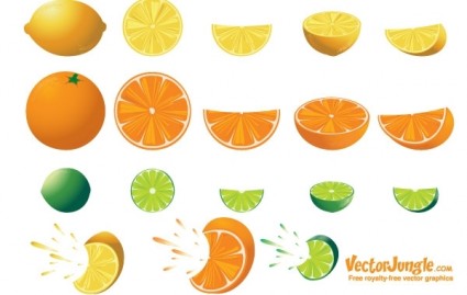 無料の柑橘類のベクトル