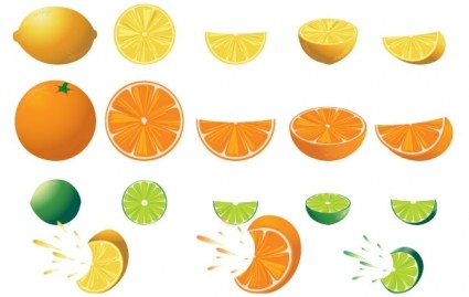 無料のベクトルを柑橘類