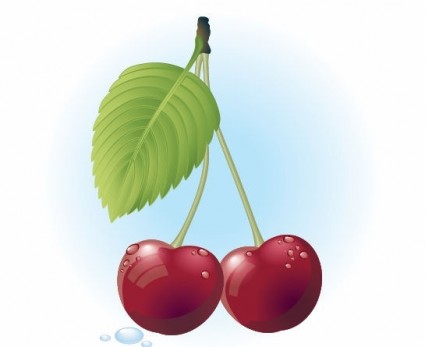 ilustrasi vektor cherry merah gratis