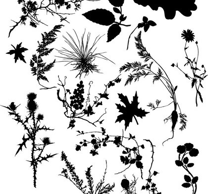 Darmowe różnych roślin silhouett wektor