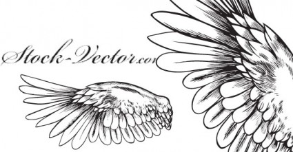 Free Vector Angelic Wing