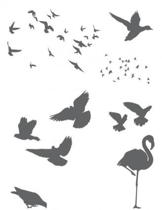 uccelli vettoriali gratis