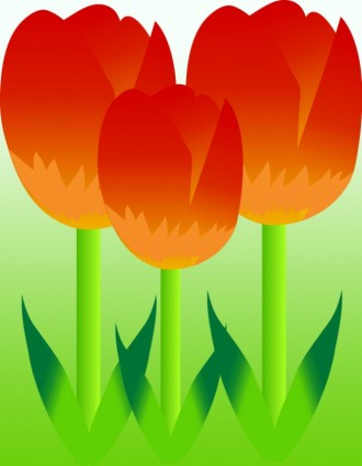 Tulip Yang Berwarna Warni Vektor Gratis Vektor Bunga Vektor Gratis Download Gratis