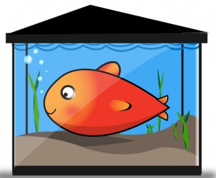 Kostenlose Vector gold Fish tank