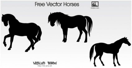 Бесплатные векторные лошадь