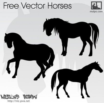 vector gratis de caballos
