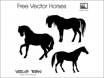 Free vector cavalos