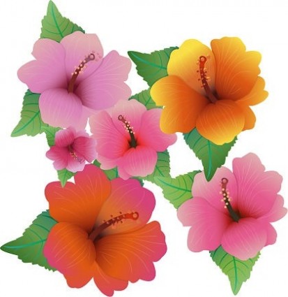 ilustração vetorial livre com flores de hibisco