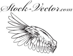 Free Vector Wing