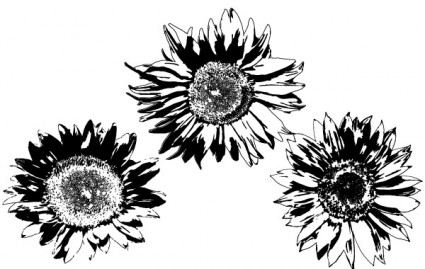 Free Vectors Sunflowers
