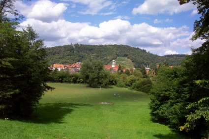 Panorama Freiburg Germania