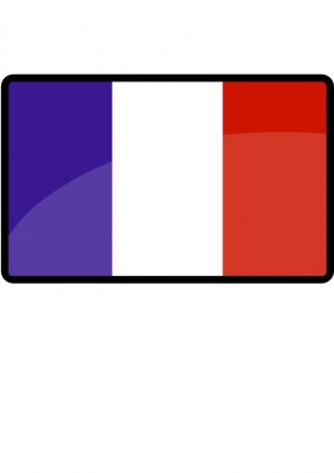 clipart gratuit drapeau français - photo #1