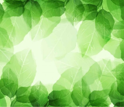Fresh And Green Leaves Background
