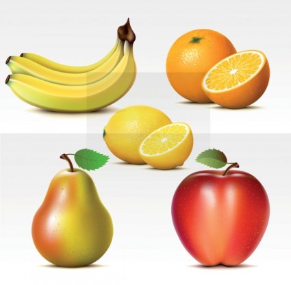 vector de frutas frescas