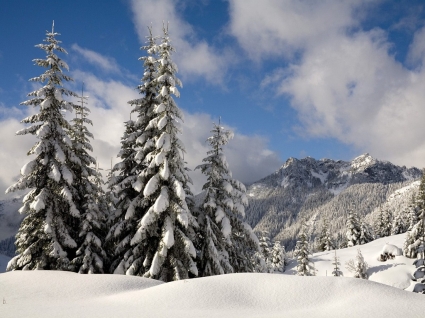 salju segar atas gunung denny wallpaper musim dingin alam