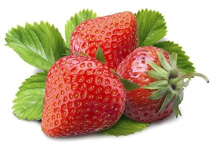 신선한 딸기 사진