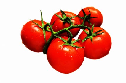 tomat segar