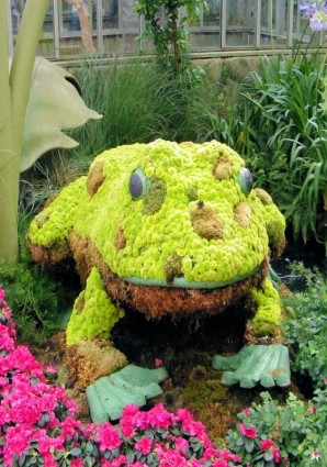 ếch trong vườn thực vật