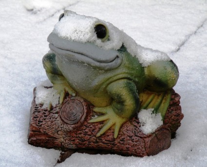 青蛙装饰